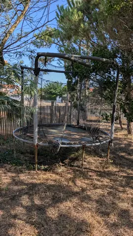trampoline