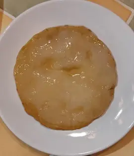 Kombucha-souche SCOBY