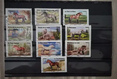 Timbres - 2013 - série (1)