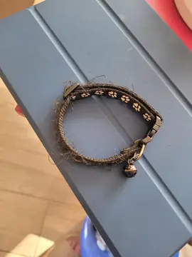 collier noir pour chat état moyen mais peux dépanner