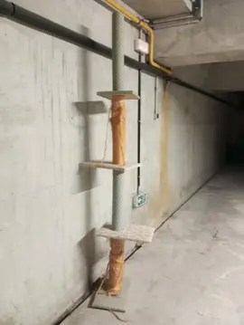 arbre à chat