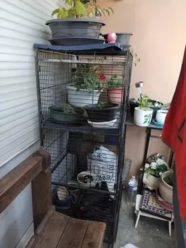 Cage pour rongeur