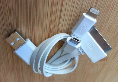 [Pour DOMINIK] Câble USB-A vers Micro-USB /Lightning / Mac 30 points