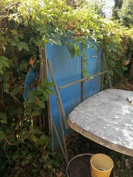 table de ping-pong Artengo