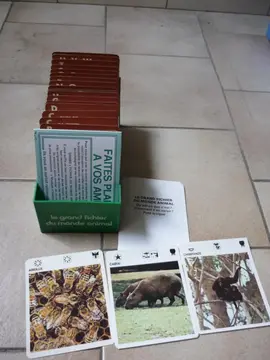 Fichier animaux