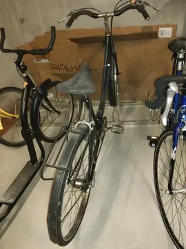 Velo