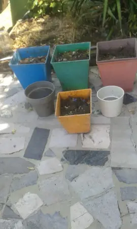 pots de fleurs