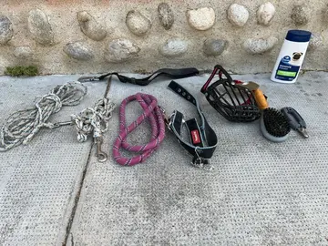 nécessaire pour chien