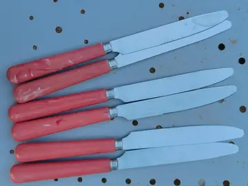 Lot de 6 couteaux à bout rond et manche plastique
