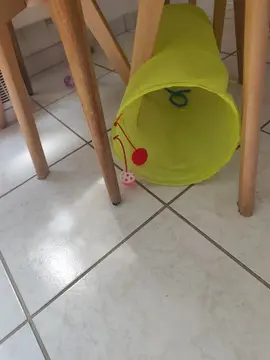 Tunnel à chat