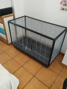 cage zeno