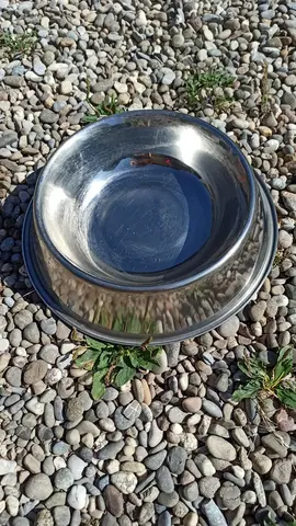 gamelle alu pour chien
