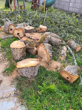 Bois de pommier