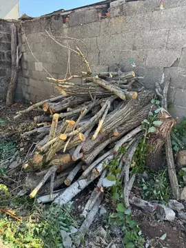 bois pour feu