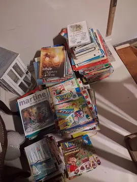 lot de livres, bd, dictionnaires anglais , etc