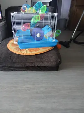 cage souris a hamster