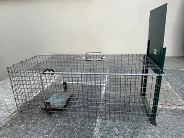 cage