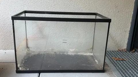Aquarium en verre 35x30x55cm