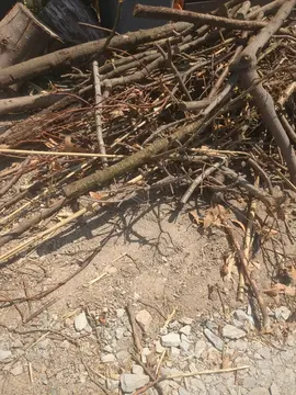 petit bois sec pour barbecue ou cheminée