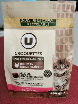Croquettes chaton