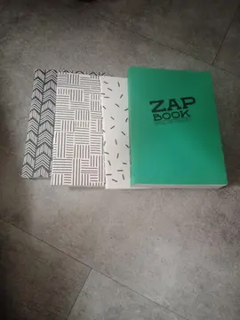 Lot de 4 petits carnets