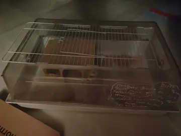 cage pour rongeur