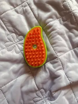 brosse pour animaux