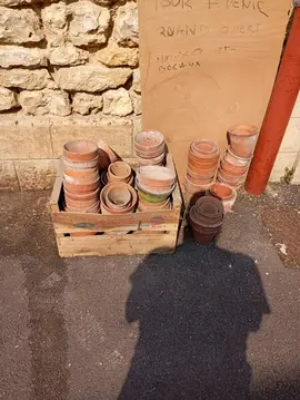 pot de fleur en terre