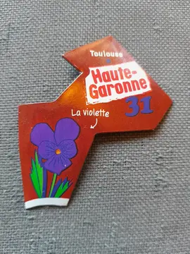 magnet