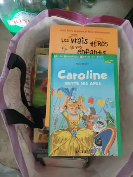 1 grand sac de livres