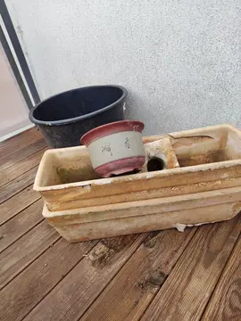 jardinières pot terre cuite + plastique