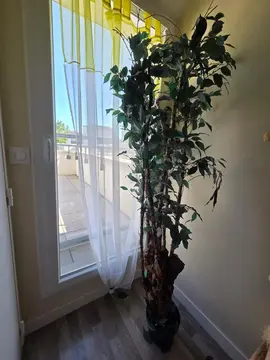 Plante artificielle