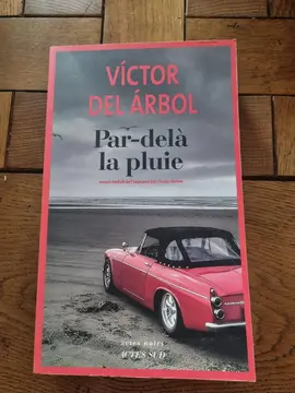 Livre Par-delà la pluie