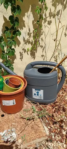 Pot de fleur