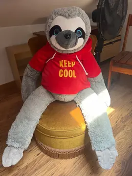 peluche
