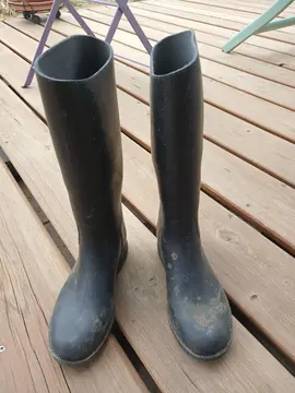 bottes d'équitation