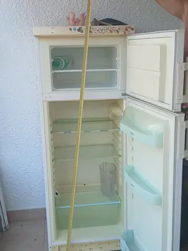 frigo