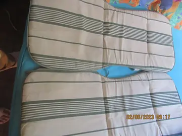 2 coussins pour chaises jardin