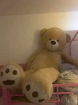 ours en peluche
