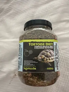 nourriture tortue