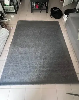 Tapis Langsted IKEA 240x170cm