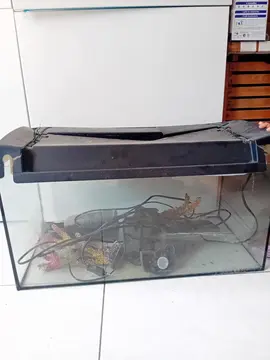 aquarium
