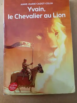 livre yvain