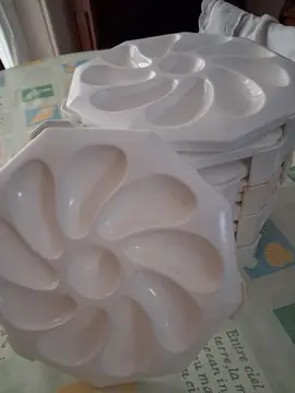 12 assiettes à huitres en plastiques, empilables