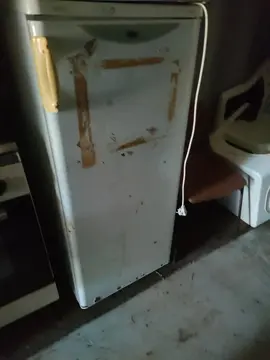 Frigo