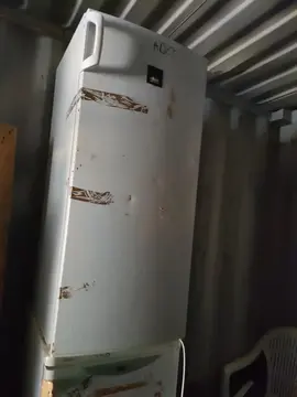 Frigo