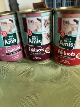donne pâté pour chat en sauce