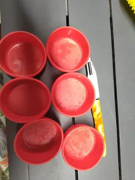 6 mini moules en silicone