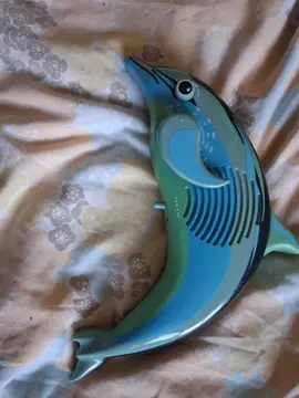 1radio de douche dauphin 🐬