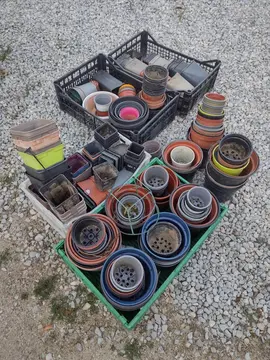 pots godets rempotage plantes